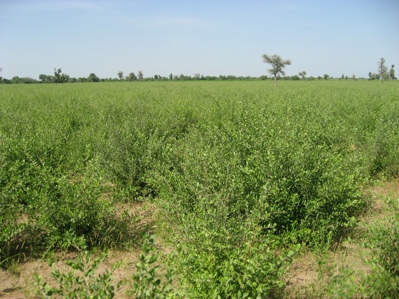 fc2blog_20121011205658d1e